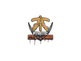 Sealed Graffiti | Fnatic | Krakow 2017 image