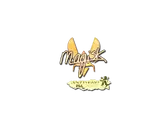 Sticker | Magisk (Holo) | Antwerp 2022 image