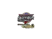 Sticker | karrigan (Glitter, Champion) | Antwerp 2022 image