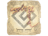 Sticker | cool4st | Austin 2025 image