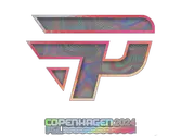 Sticker | paiN Gaming (Holo) | Copenhagen 2024 image