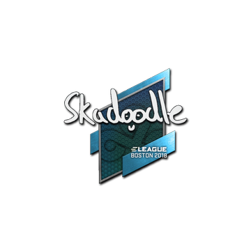 Sticker | Skadoodle | Boston 2018