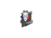 Sticker | G2 Esports | Boston 2018 image