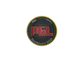 Patch | PGL | Stockholm 2021 image