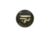 Patch | paiN Gaming (Gold) | Stockholm 2021 image
