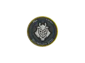 Patch | G2 Esports | Stockholm 2021 image