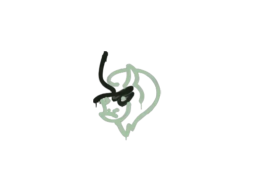 Sealed Graffiti | Recoil PP-Bizon (Cash Green)