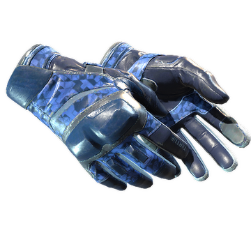 Moto Gloves | Polygon