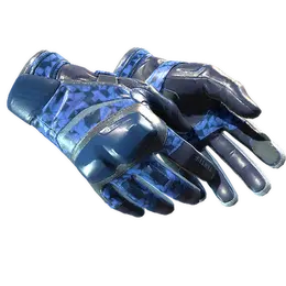 Moto Gloves | Polygon image