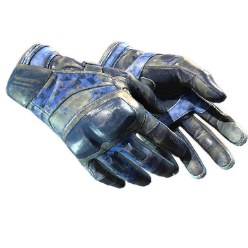 Moto Gloves | Polygon