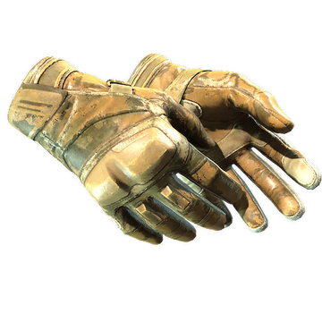 Moto Gloves | Transport