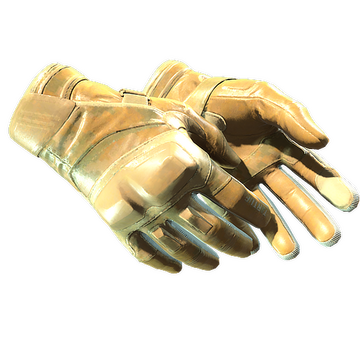 Moto Gloves | Transport