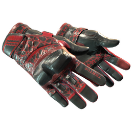 Moto Gloves | Blood Pressure image