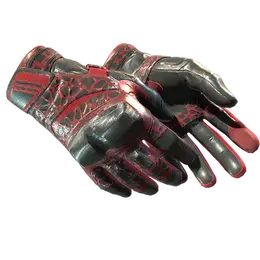 Moto Gloves | Blood Pressure image