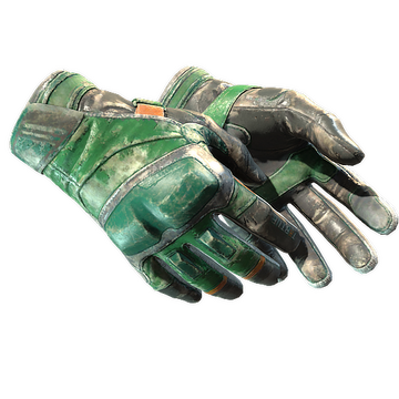 Moto Gloves | Turtle