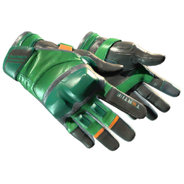 Moto Gloves | Turtle image