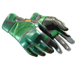 Moto Gloves | Turtle image