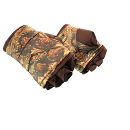 Hand Wraps | Constrictor image