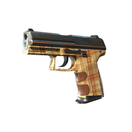 P2000 | Coach Class image