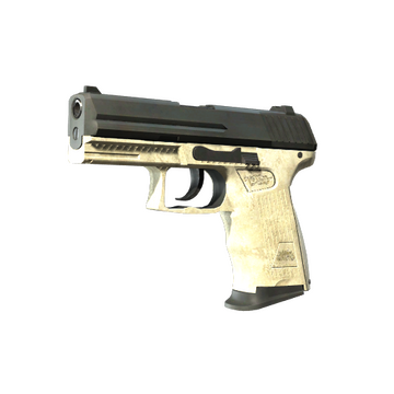 StatTrak™ P2000 | Ivory