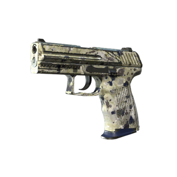 Souvenir P2000 | Granite Marbleized