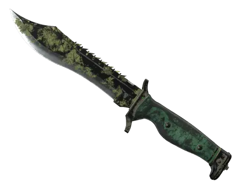 ★ Bowie Knife | Boreal Forest