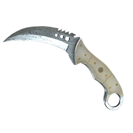 Talon Knife | Damascus Steel image