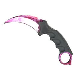 Karambit | Doppler Phase 2 image