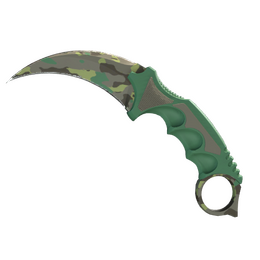 Karambit | Boreal Forest image