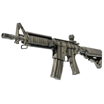 M4A4 | Faded Zebra