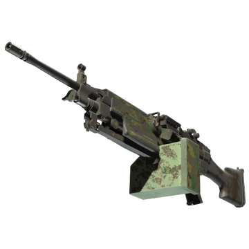 M249 | Jungle DDPAT