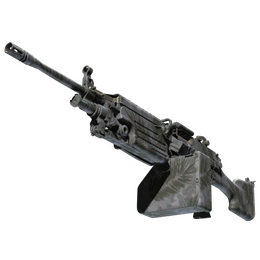 M249 | Midnight Palm image