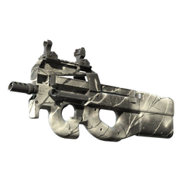 P90 | Ash Wood image