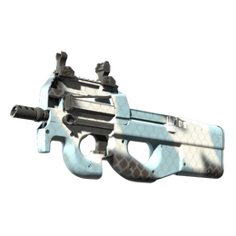 P90 | Glacier Mesh image