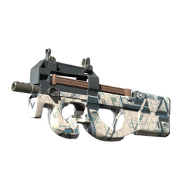 P90 | Schematic image