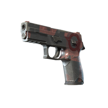 P250 | Constructivist