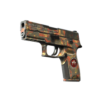 P250 | Red Rock
