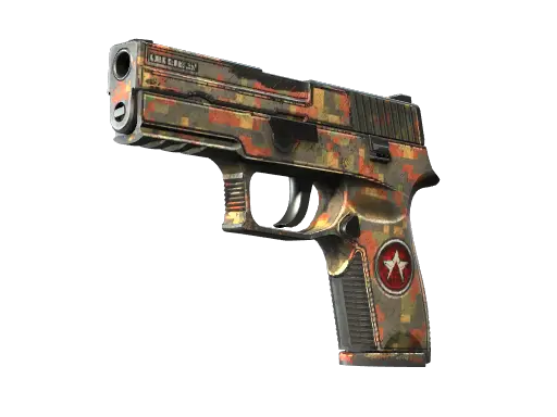 P250 | Red Rock