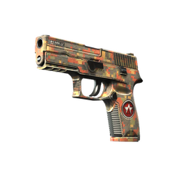 P250 | Red Rock image