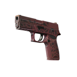 P250 | Contaminant image