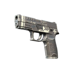 P250 | Re.built image