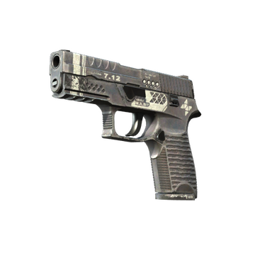 StatTrak™ P250 | Re.built