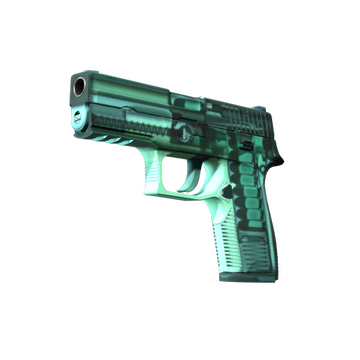 P250 | X-Ray