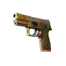 P250 | Inferno image