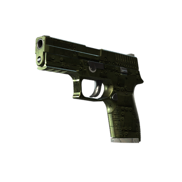 P250 | Iron Clad