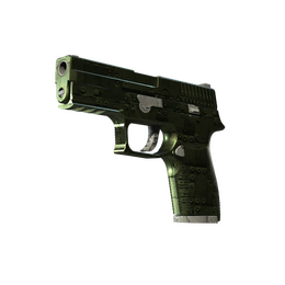 P250 | Iron Clad image
