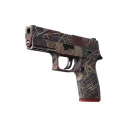P250 | Facility Draft image