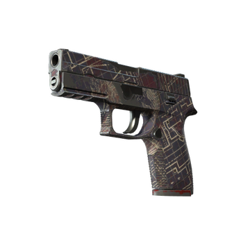 P250 | Facility Draft