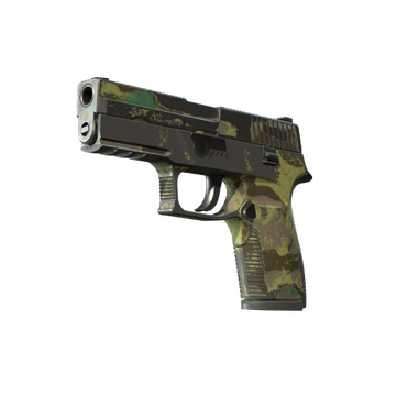 P250 | Boreal Forest