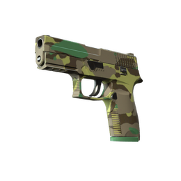 P250 | Boreal Forest image